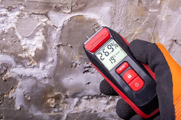 Best Best Mold Removal Companies  in Antioch, IL