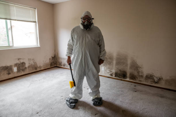 Best Professional Mold Removal  in Antioch, IL